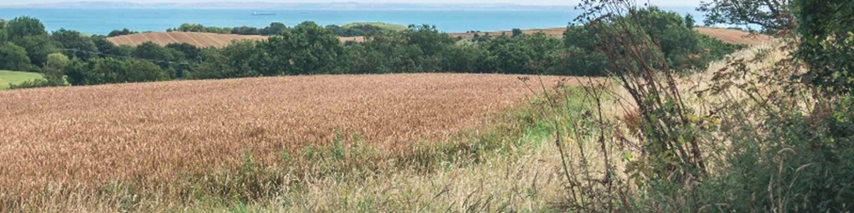 NorthDowns-8.jpg