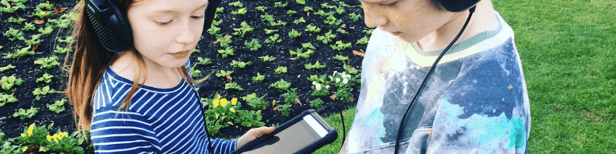 Untitled design (8).png